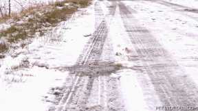 PeeInDetail Snowy road